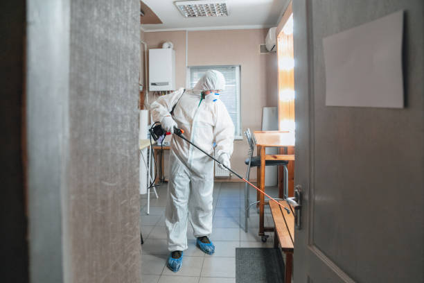 Best Emergency Mold Remediation  in Franklin, LA